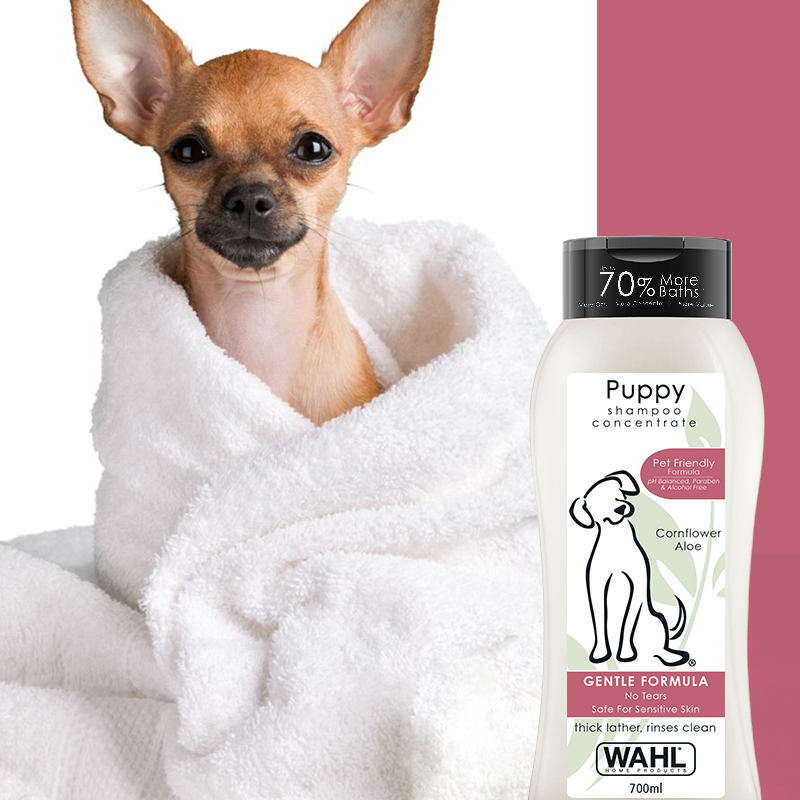 Wahl shop puppy shampoo